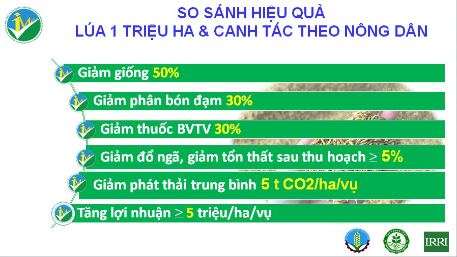 Đề án 1 triệu ha lúa chất lượng cao Giải quyết nguồn vốn cho doanh nghiệp lúa gạo - Ảnh 2.